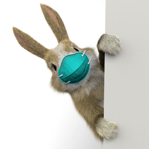 Over struisvogels en angsthazen