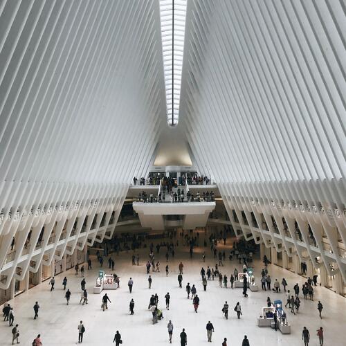 Quo Vadis? Demografische zelfmoord<br> - Honey, I shrunk the population.