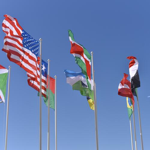 Dubbelbelastingverdragen en fiscus - Toepassing in de praktijk